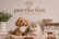 Purrfection  – Início